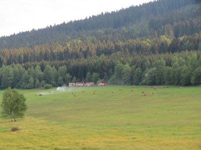 Náhled